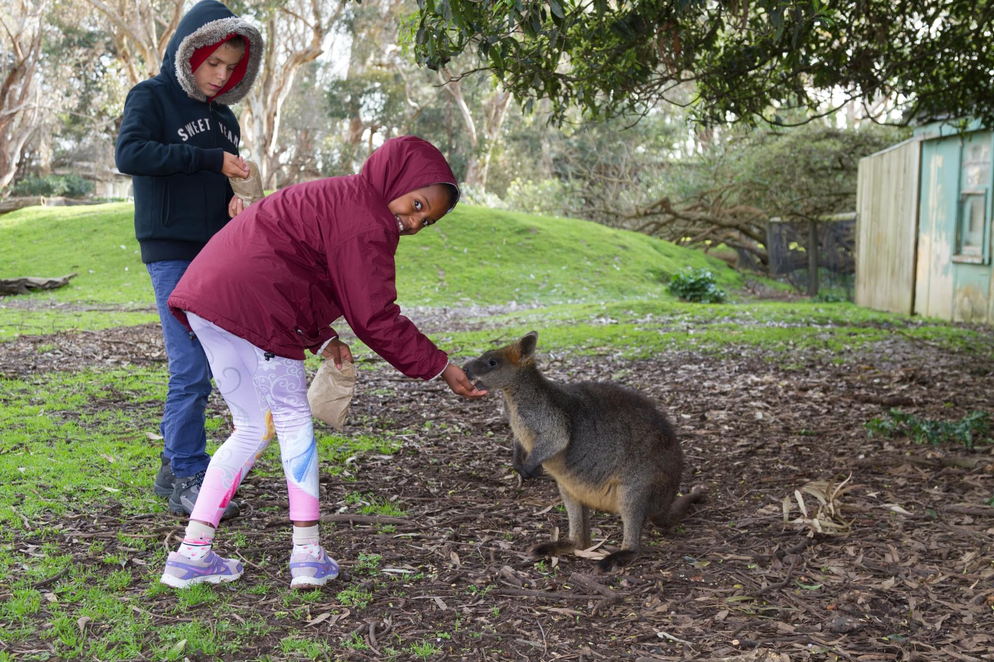 13_20150803   AUS 033   Melbourne_